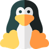 Linux
